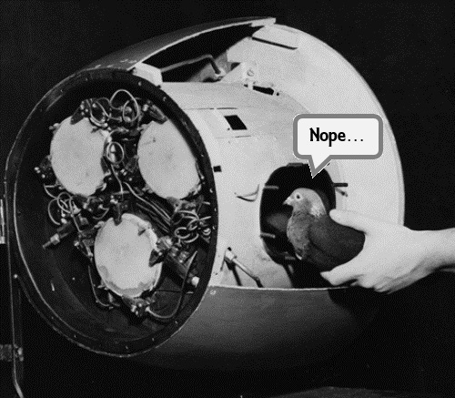 Animal Weapons – Videogames vs&nbsp;History