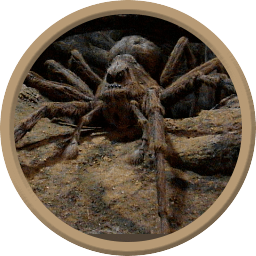 Fantastic Beasts and How to Slay Them:&nbsp;Acromantula