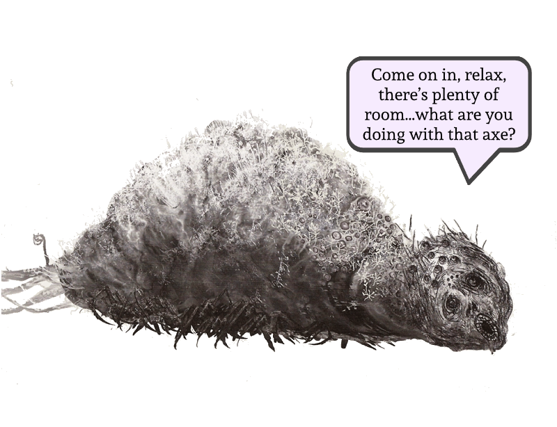 Rom, the Vacuous Spider: An Unskilled&nbsp;Guide